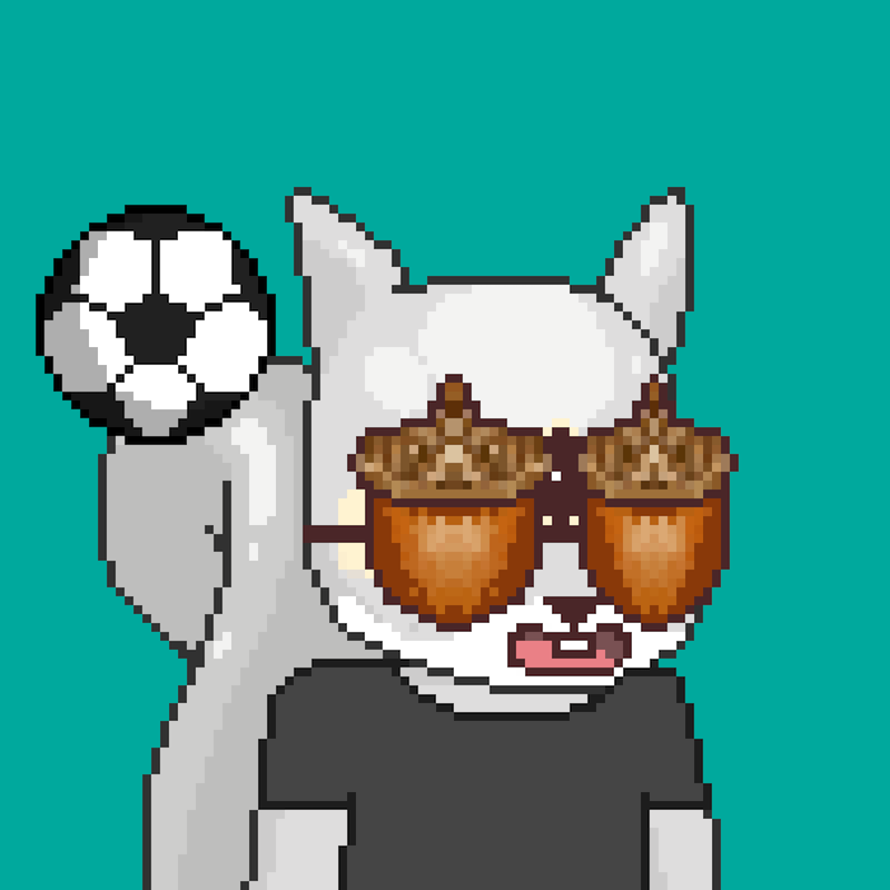 Pixel Squirrels #9081